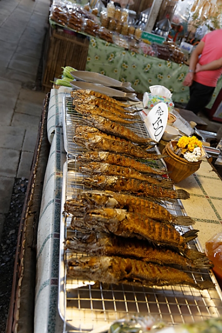 Talin chan-NOV13-058